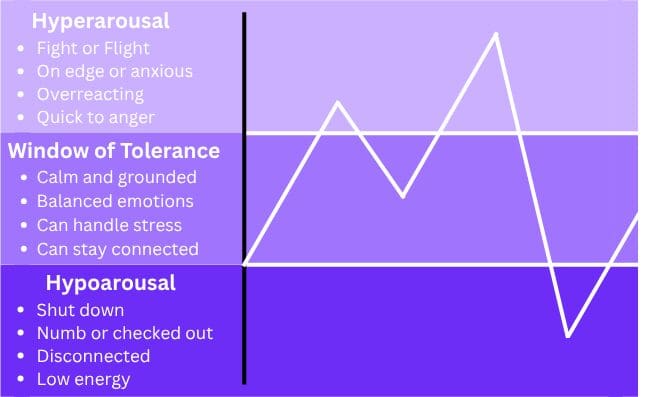 A purple line chart that illustrates the window of tolerance